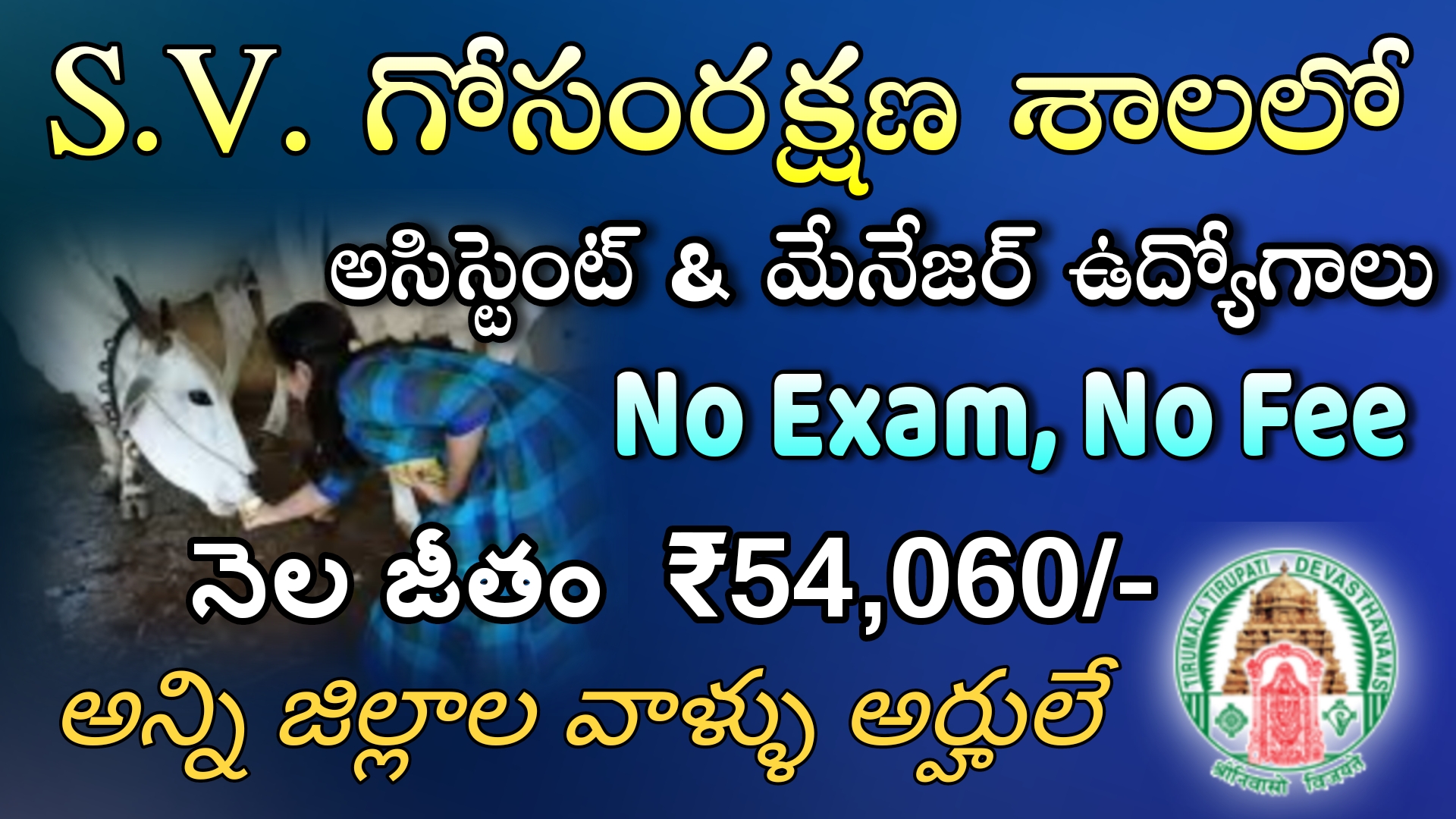 10th అర్హతతో S.V.గోసంరక్షణ శాలలో డెయిరీ అసిస్టెంట్ ఉద్యోగ నోటిఫికేషన్ 54,060 వేలు నెలకు జీతం ఇస్తారు | TTD S.V.Gosamrakshana shala, Tirupati Jobs Recruitment 2023 Vacancy in Telugu | Latest TTD Jobs