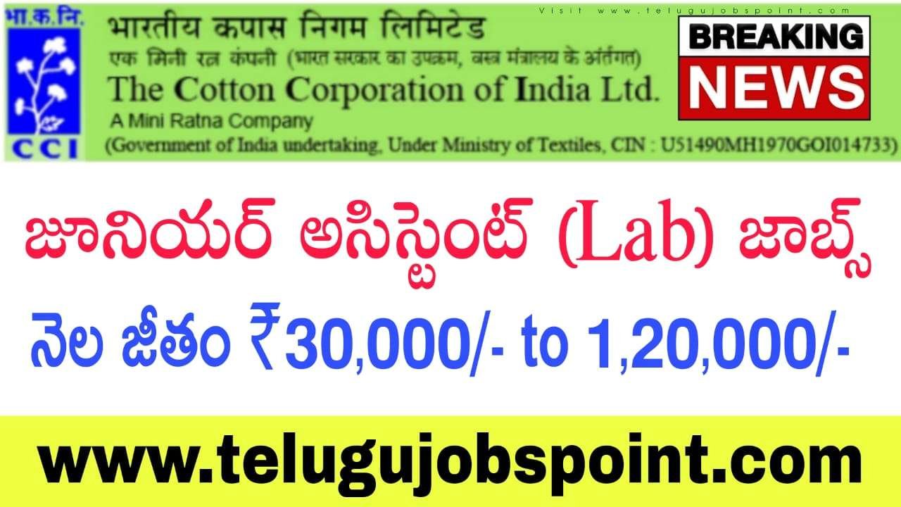 CCI Notification 2025 : జూనియర్ అసిస్టెంట్ పోస్టులకు నియామకం.. వెంటనే ఆన్లైన్ లో అప్లై చేసుకోండి