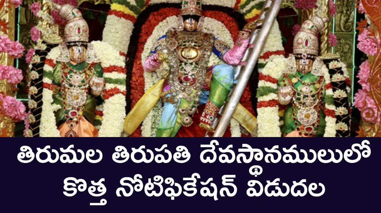 TTD Jobs : తిరుమల తిరుపతి దేవస్థానములు లో కొత్త నోటిఫికేషన్ విడుదల