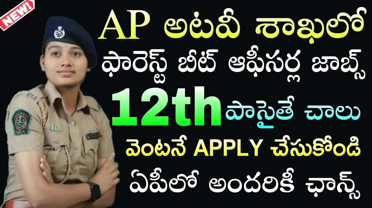 AP Forest Beat Officer Jobs : 12th అర్హతతో ఫారెస్ట్ బీట్ ఆఫీసర్ ఉద్యోగాలు | APPSC Forest Beat Officer Recruitment 2025 Latest Assistant Beat Officer Notification Out for 691 Posts | Telugu Jobs Point