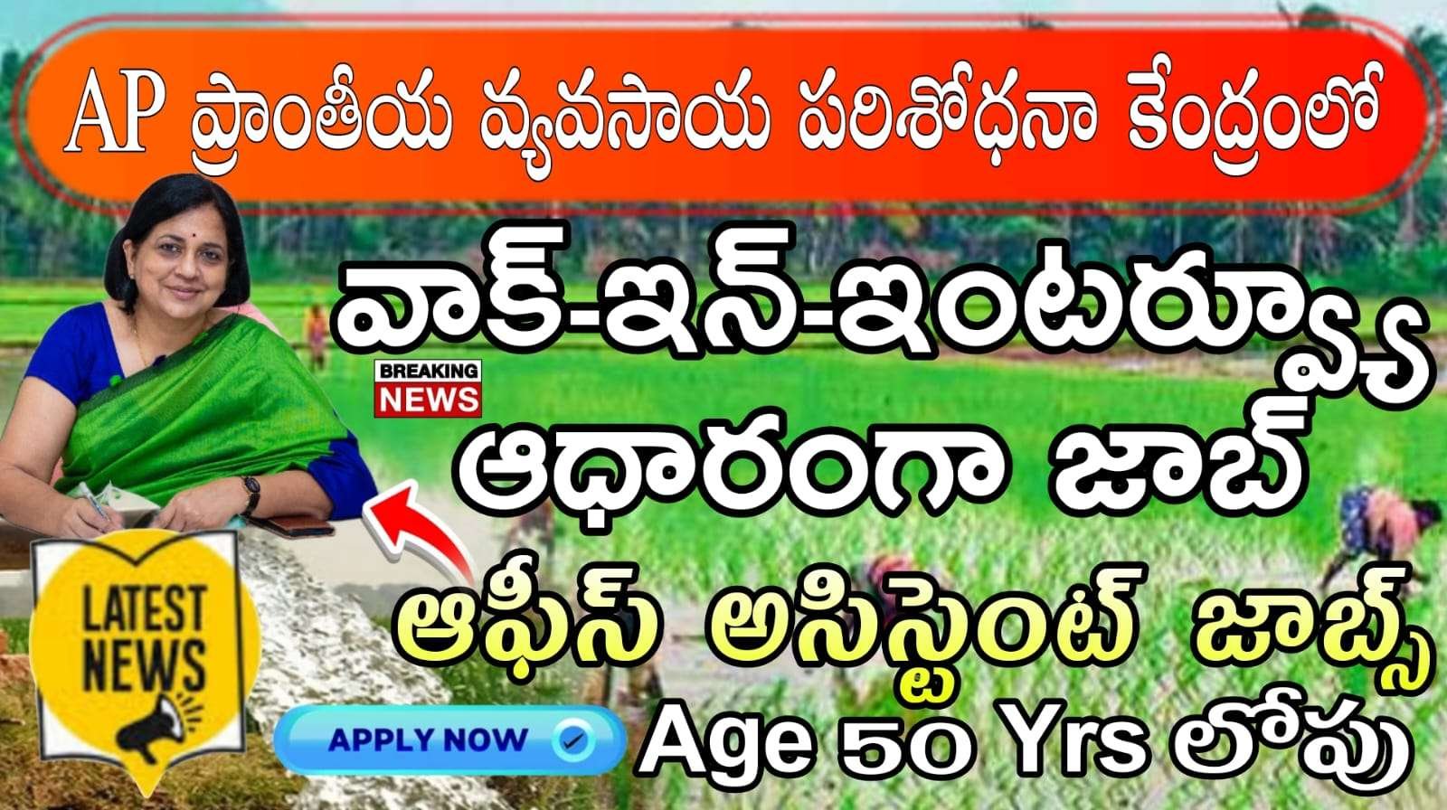 Agriculture Jobs : రాతపక్ష లేకుండా డైరెక్టర్ గా ఆఫీస్ అసిస్టెంట్ జాబ్ నోటిఫికేషన్ | ANGRAU Office Assistant Latest Job Recruitment 2025