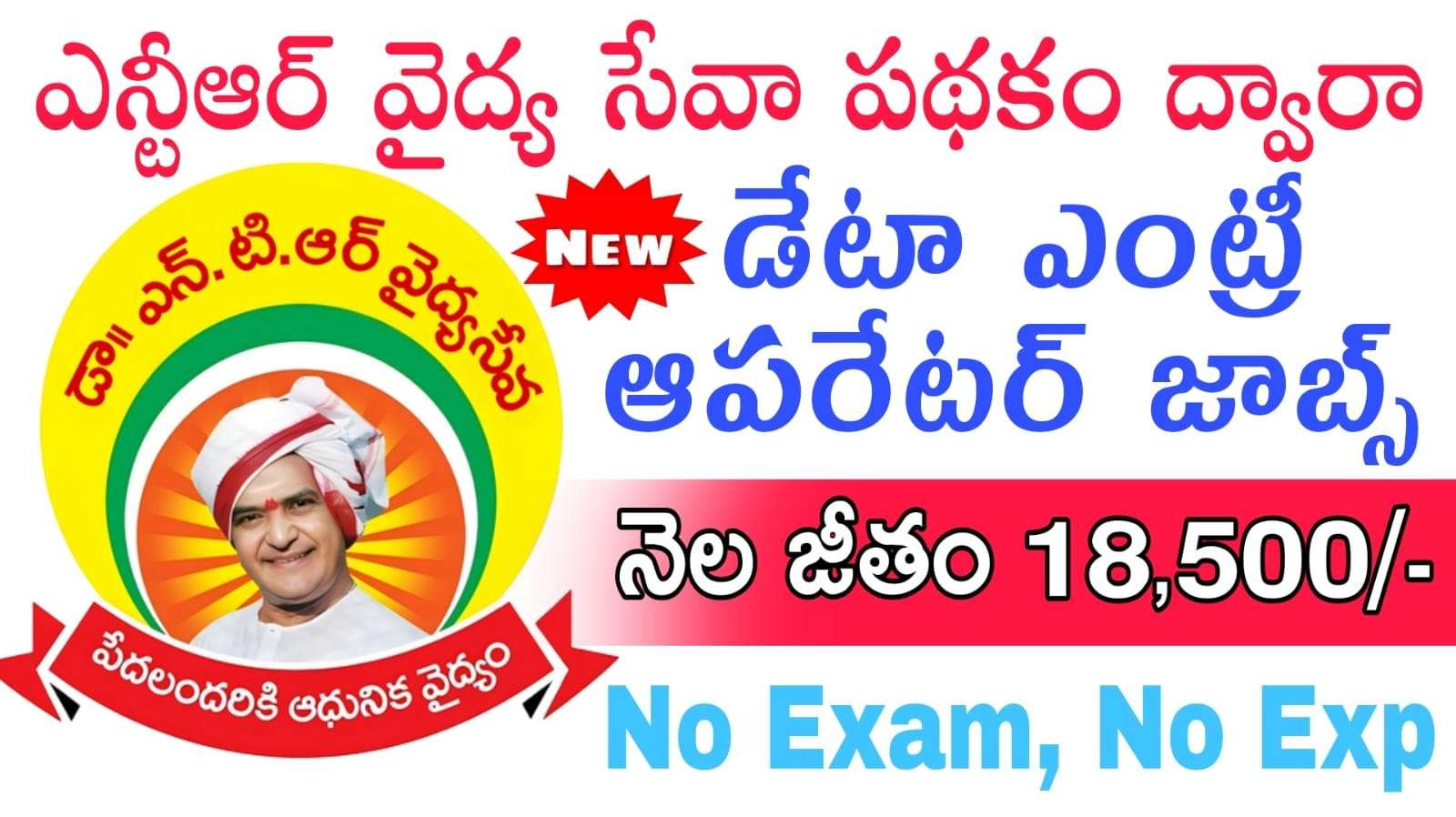 AP ఎన్టీఆర్ వైద్య సేవా పథకం ద్వారా డేటా ఎంట్రీ ఆపరేటర్ నోటిఫికేషన్ విడుదల | NTRVS Data Entry operator Jobs Notification 2025 Apply Now