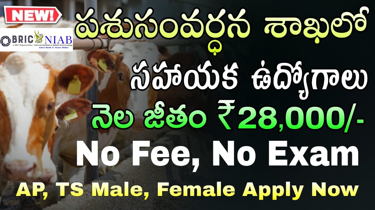 Animal Husbandry Jobs : రాత పరీక్ష లేకుండా పశు సంవర్ధన శాఖలో సూపర్ నోటిఫికేషన్ విడుదల