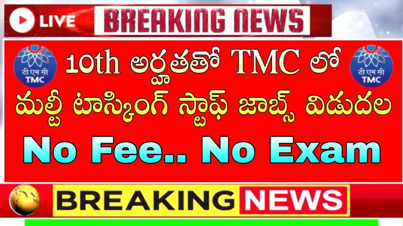 10th అర్హతతో TMC లో మల్టీ టాస్కింగ్ స్టాఫ్ జాబ్స్ విడుదల.. వెంటనే అప్లై చేసుకోండి |TMC MTS Notification 2025 Apply Now